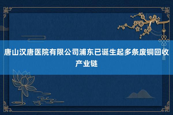 唐山汉唐医院有限公司浦东已诞生起多条废铜回收产业链
